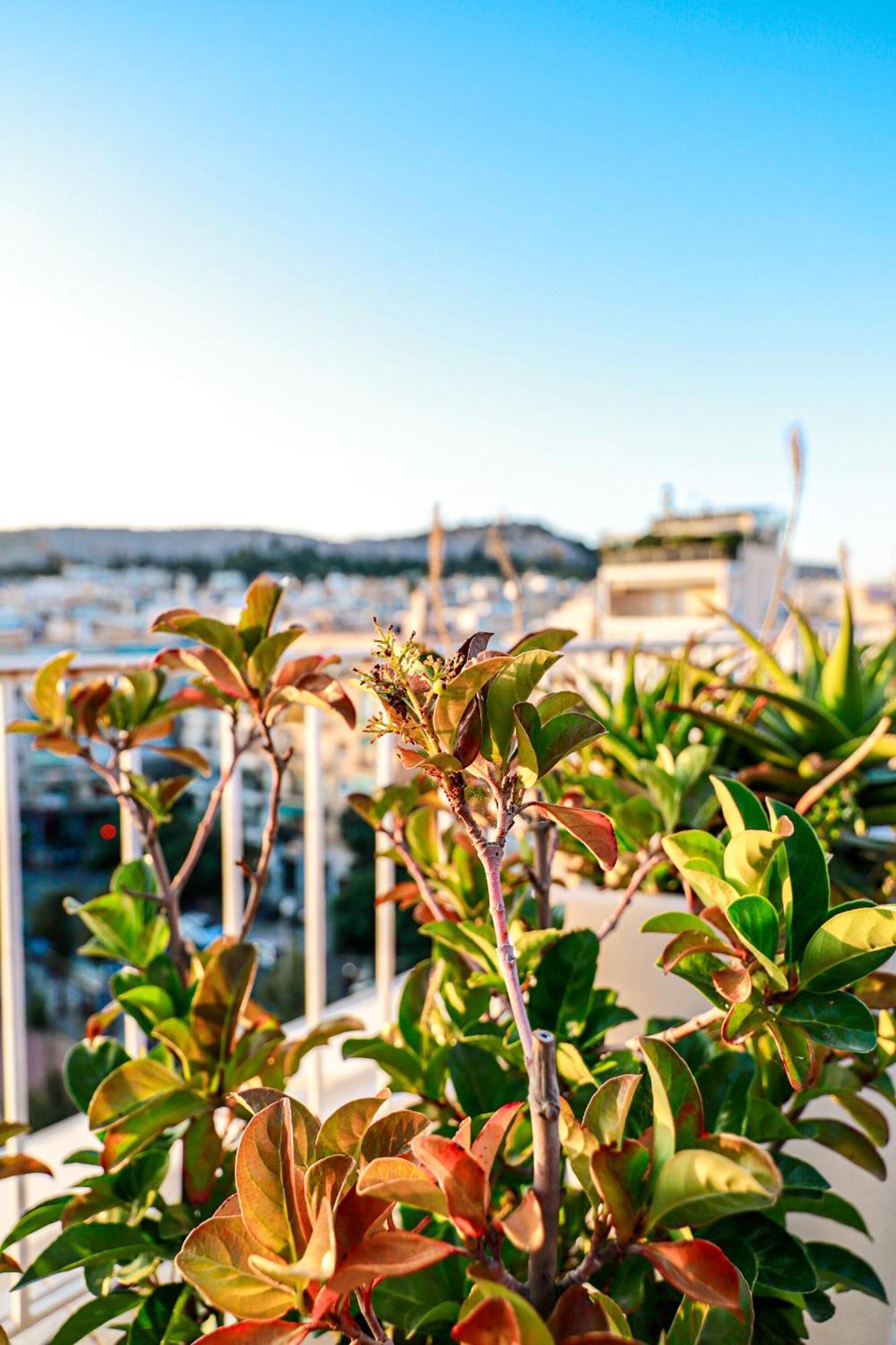 Renovated Apartment With Roof Garden Access, 15 M Walk To Acropolis Athens Ngoại thất bức ảnh