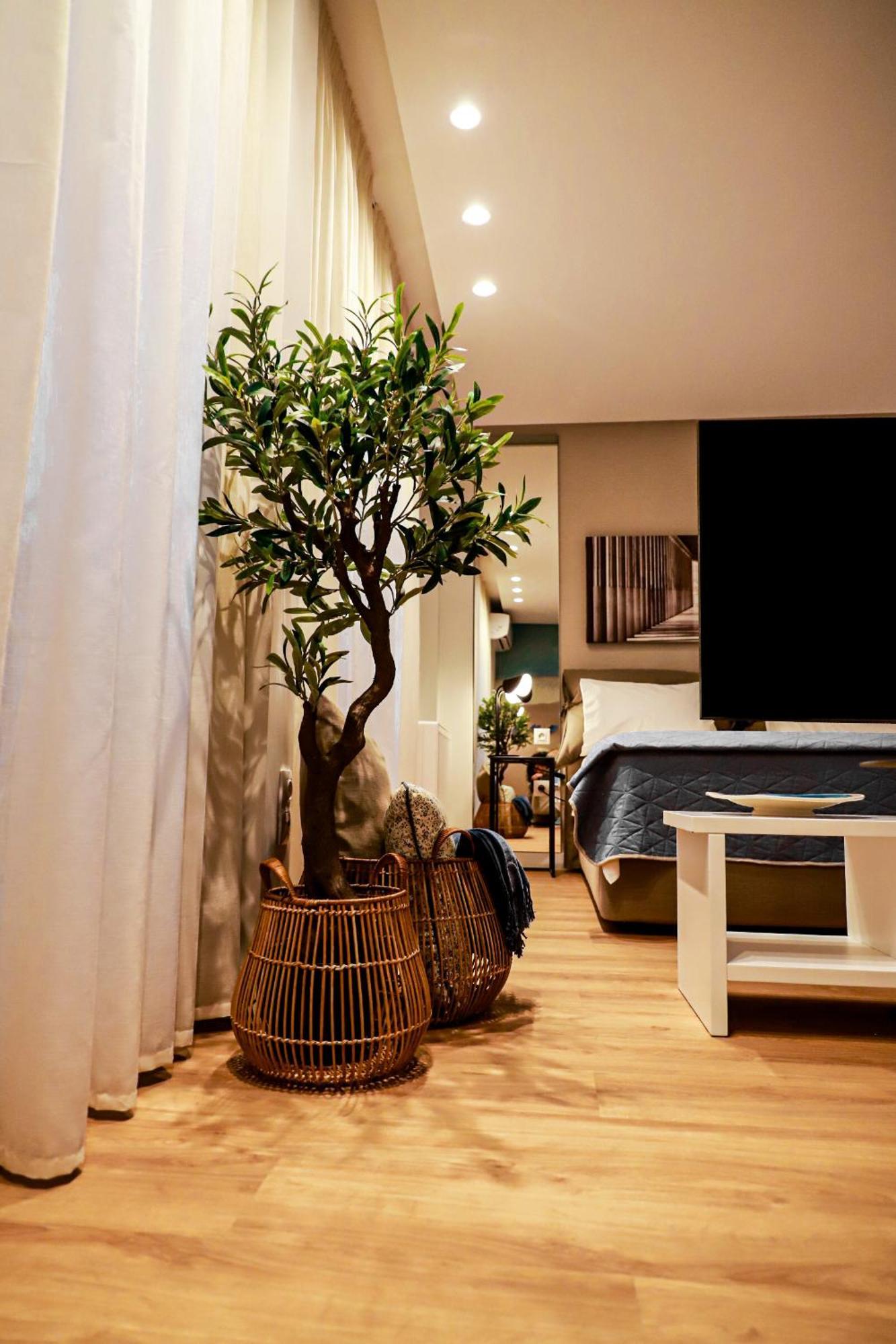 Renovated Apartment With Roof Garden Access, 15 M Walk To Acropolis Athens Ngoại thất bức ảnh
