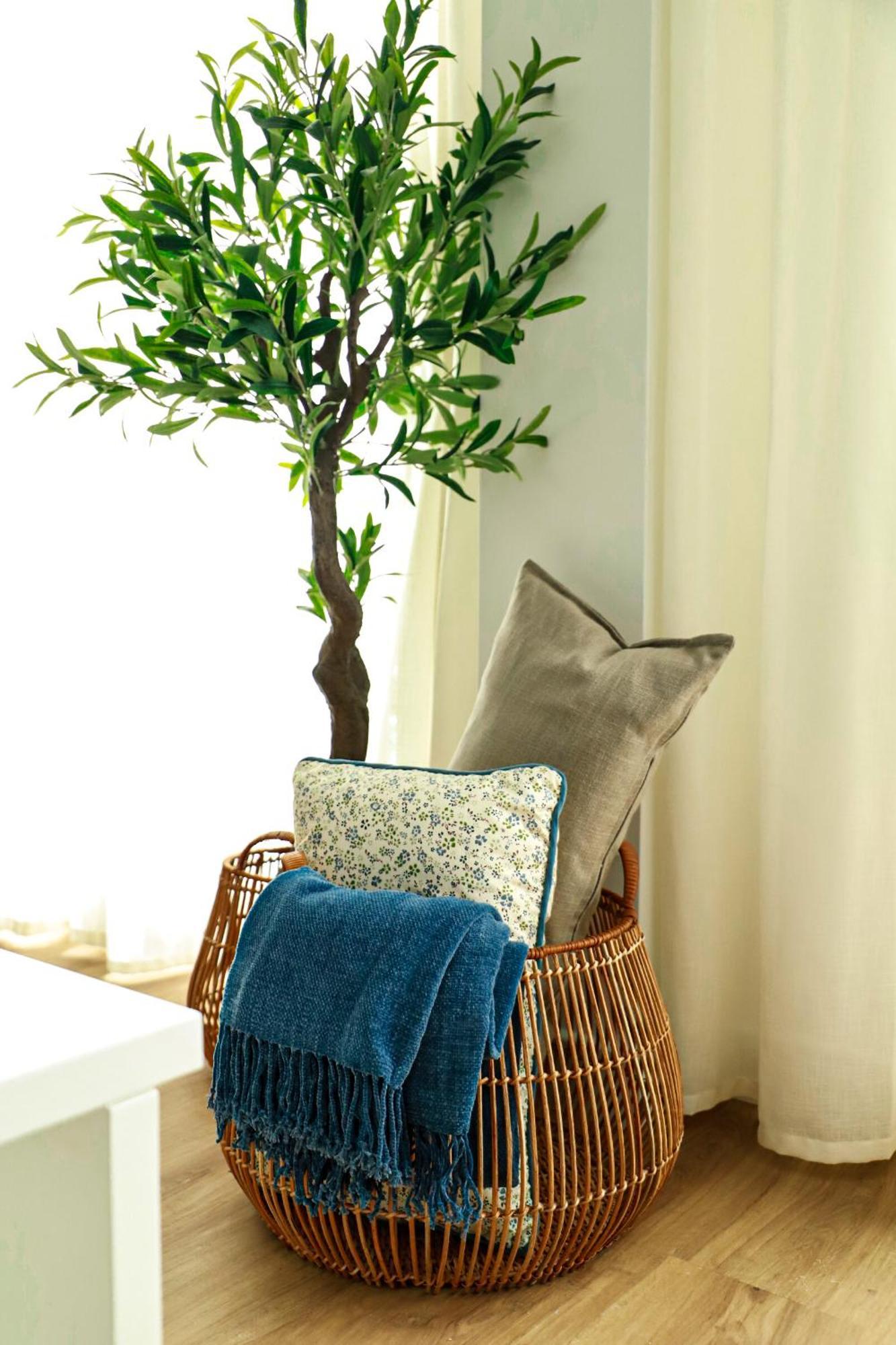 Renovated Apartment With Roof Garden Access, 15 M Walk To Acropolis Athens Ngoại thất bức ảnh
